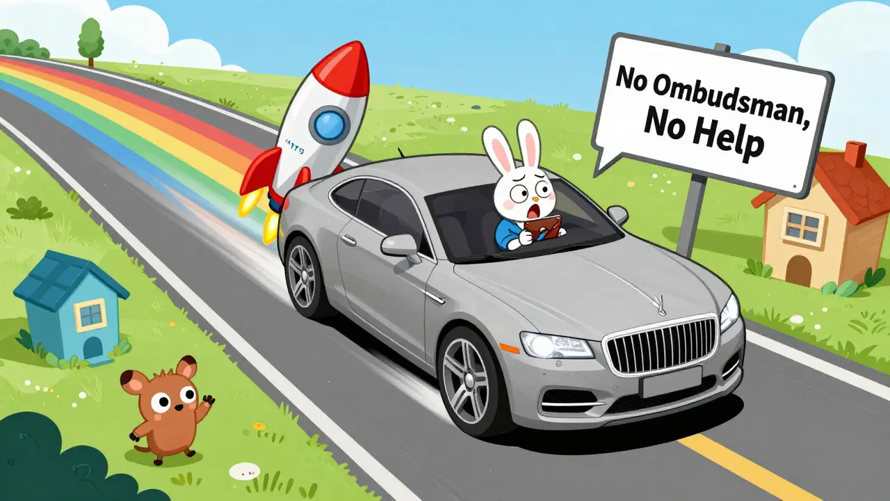 A rocket-powered car with no brakes speeds down a rainbow road, driver rabbit panics as safe exchanges wave from the sidelines.